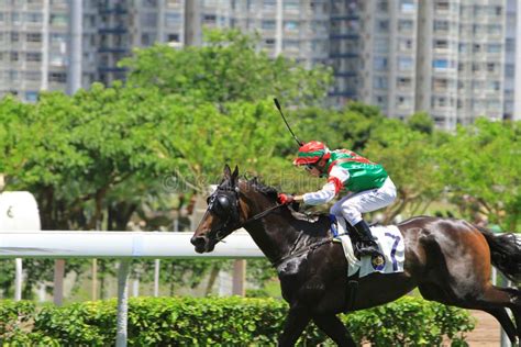 aml horse racing|The Hong Kong Jockey Club .